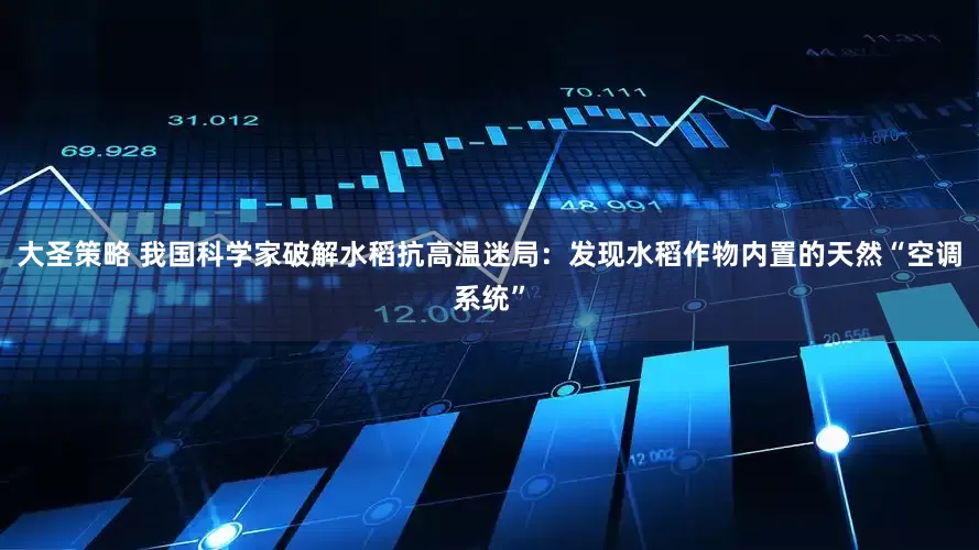 大圣策略 我国科学家破解水稻抗高温迷局：发现水稻作物内置的天然“空调系统”