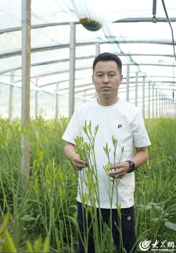 垒富配资 聊城耕耘者｜牛森：85后小伙的致富经，“特早熟”黄花菜铺就金色“致富路”