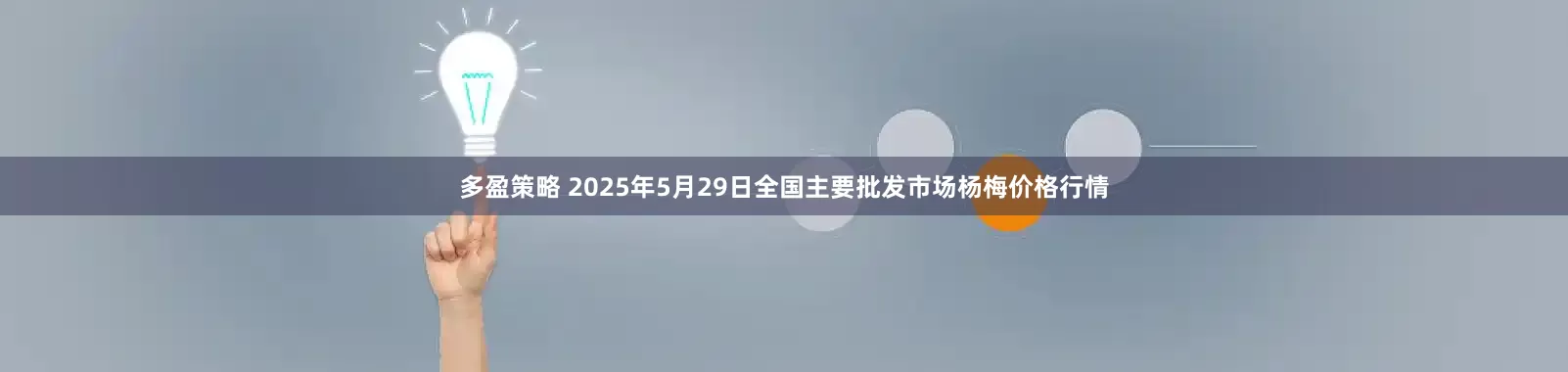多盈策略 2025年5月29日全国主要批发市场杨梅价格行情