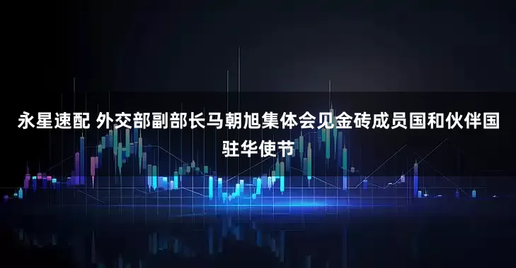 永星速配 外交部副部长马朝旭集体会见金砖成员国和伙伴国驻华使节